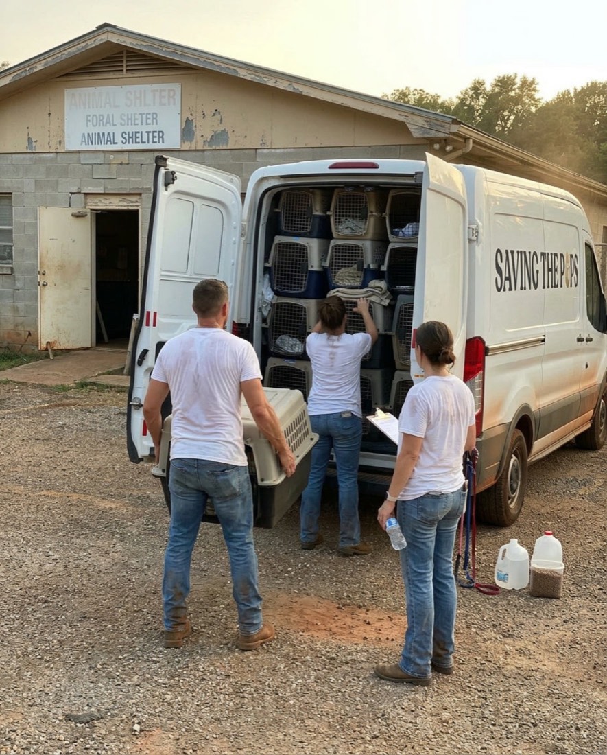 We Pulled 14 Dogs From a Kill Shelter in One Day