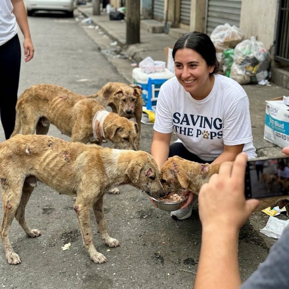 Shelter pup getting care